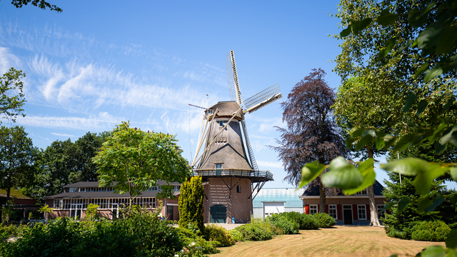 Foto: Monumentendag brengt Molen De Hoop tot leven